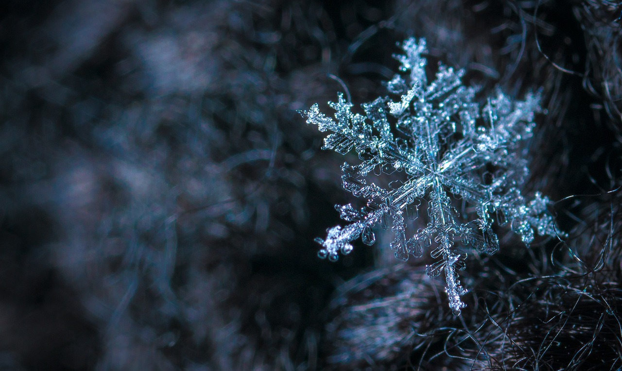 macro, snow, snowflake